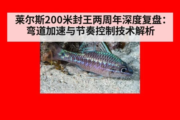 莱尔斯200米封王两周年深度复盘：弯道加速与节奏控制技术解析