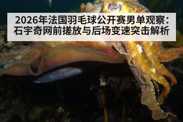 2026年法国羽毛球公开赛男单观察：石宇奇网前搓放与后场变速突击解析