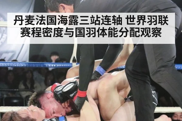 丹麦法国海露三站连轴 世界羽联赛程密度与国羽体能分配观察 - jiuyou game
